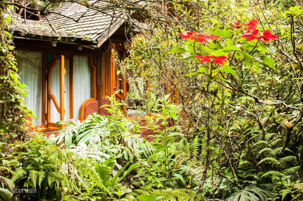 Finca Chamanapamba Guest House Baños Εξωτερικό φωτογραφία